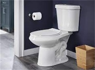 Toilet Seats can Cause Infections: Learn What You can Catch in the Bathroom