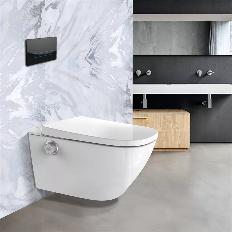 Integrated Bidet Seat Integrated Bidet Seat