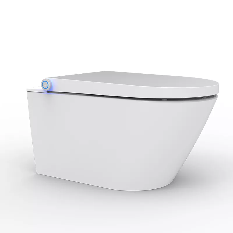 Abattant Japonais Pour Wc