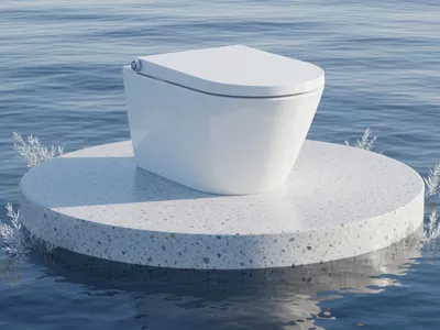smart toilet bulk