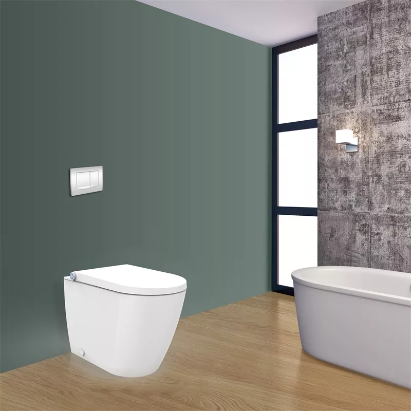 Electric Bidet Toilet Seat Electric Bidet Toilet Seat