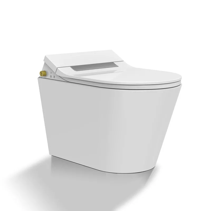 Intelligent Bidet