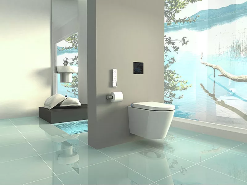shower toilet bidet seat WC shower toilet bidet seat WC
