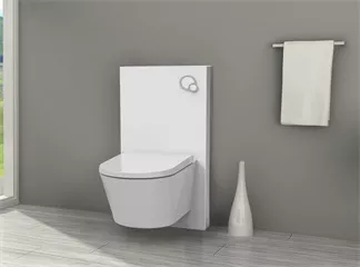 Sanitary module for wall hung or floorstanding WC