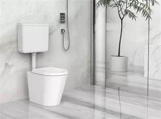 ABS exposed cistern with dual flushing