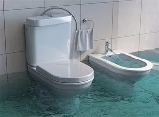  Electronic Bidet Seat