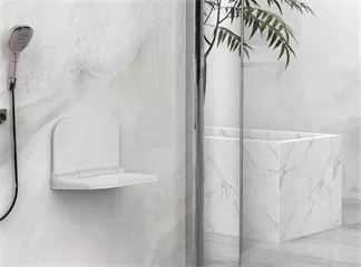 Shower Seat