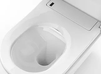 toilet seat toilet seat