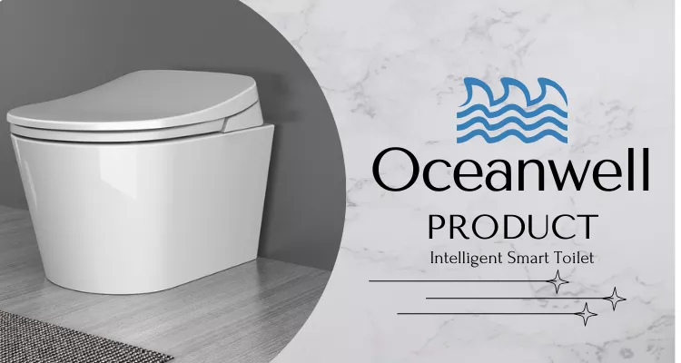  Electronic Bidet Seat