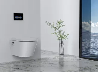 wall hung smart toilet