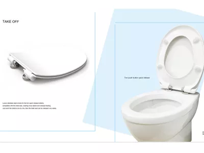 Quick-release toilet seats