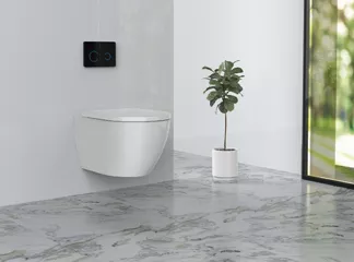 white wall hung toilet