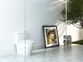 smart toilet