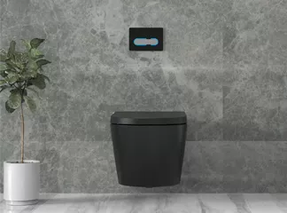 wall-hung toilets
