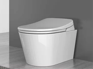 electric toilet seat 