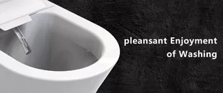 smart bidet