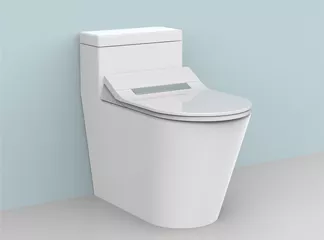 intelligent toilet seat