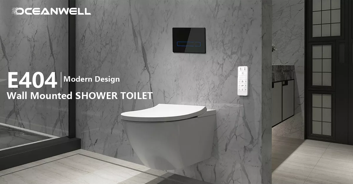 Oceanwell Concealed Cistern for wall hung Smart Toilet