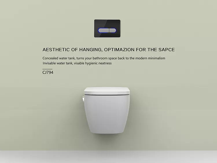 concealed cistern