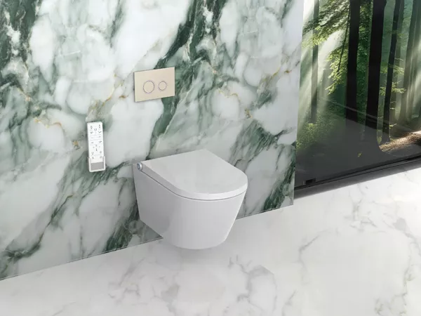 Smart Toilet