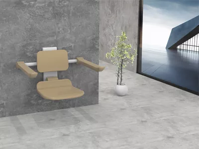 Shower Seat
