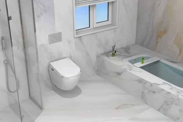 smart toilet seat