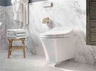 Electronic Bidet Seat Electronic Bidet Seat