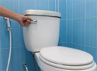 Toilet Seats