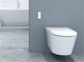 Japanese Washlet Toilet Seat