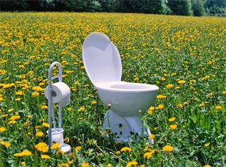 Electronic Bidet Seat