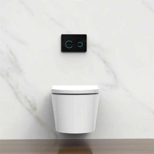 Smart Shower Bidet Seat