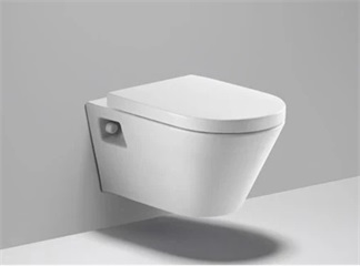 Can I Install an Electronic Bidet on a Wall-hung Toilet?