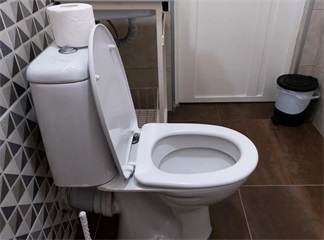 How often should You Replace Your Toilet Seat?