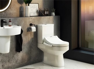 78% of Electronic Bidet Accidents Involve Older Models, Report Finds