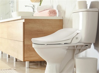 UK Smart Toilet Market Size and Trends