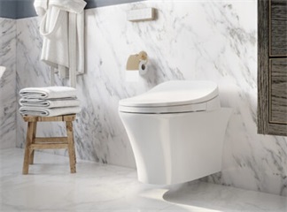 Southeast Asia's Electronic Bidet Seat Market Size will Reach US$852 Million by 2031, with a Compound Annual Growth Rate of 4.7%