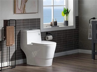 Comprehensive analysis of the global concealed toilet tank market | CAGR of 6.5%