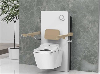 Market Development Momentum of Toilet Assistive Devices for the Disabled